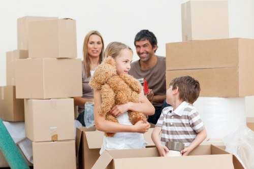 A well-planned Streatham move with boxes and household items